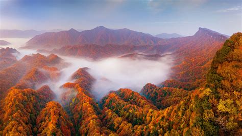  Dòungnǎo Shūi Jī -  Ein erfrischendes Aroma aus den Bergen Bazhongs mit einer pikanten Würze?